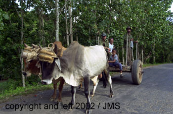 familia campesina2