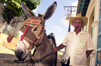 mulatrinidad2