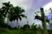 cemetary_maglito_BARACOA